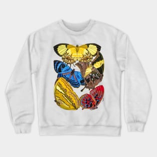 Butterflies Watercolor #14 Crewneck Sweatshirt